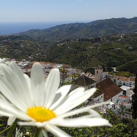 Villa Casa Ana, Fantasticas Vistas A Frigiliana, El Mar Y La Montana Exterior foto