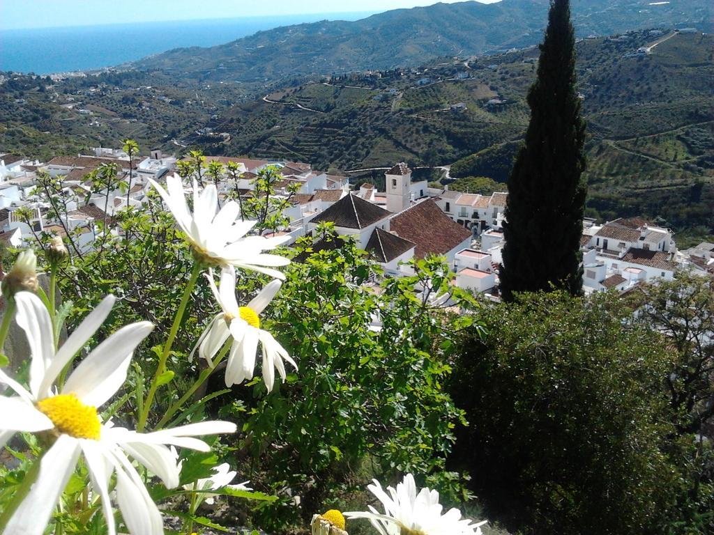 Villa Casa Ana, Fantasticas Vistas A Frigiliana, El Mar Y La Montana Zimmer foto