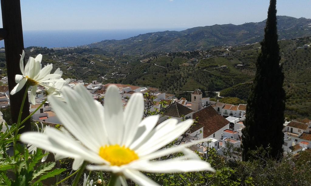 Villa Casa Ana, Fantasticas Vistas A Frigiliana, El Mar Y La Montana Exterior foto
